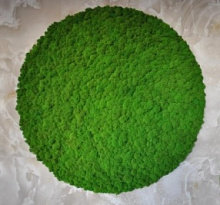 Зелёное панно для стен На Стене Трава Круг из ягеля